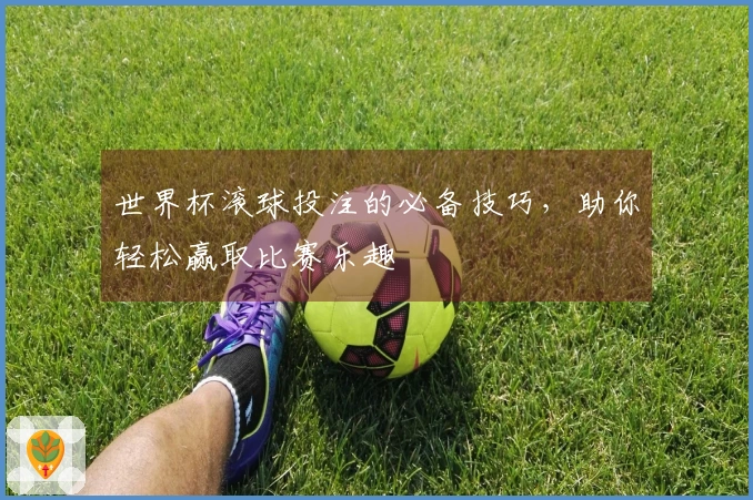 世界杯滚球投注的必备技巧，助你轻松赢取比赛乐趣