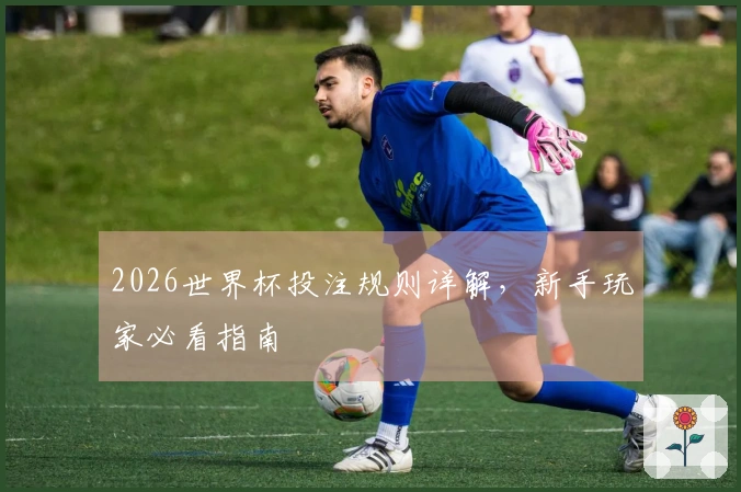 2026世界杯投注规则详解，新手玩家必看指南