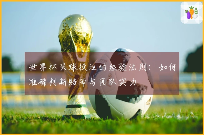 世界杯买球投注的经验法则：如何准确判断赔率与团队实力