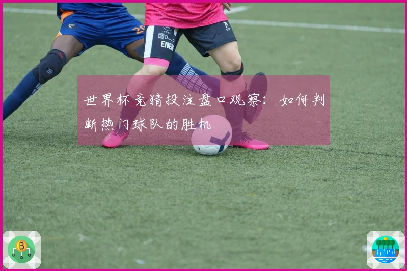 世界杯竞猜投注盘口观察：如何判断热门球队的胜机