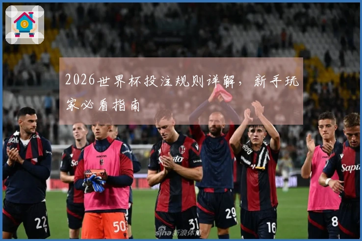 2026世界杯投注规则详解，新手玩家必看指南